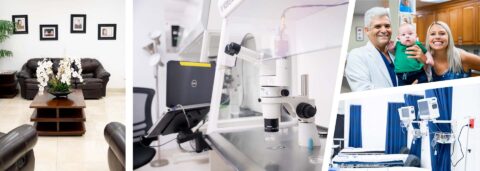 Pre-Implantation Genetic Testing (PGT) | American Reproductive Centers ...