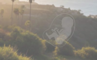 In Vitro Pregnancy Cost in California: Budgeting for IVF Successfully